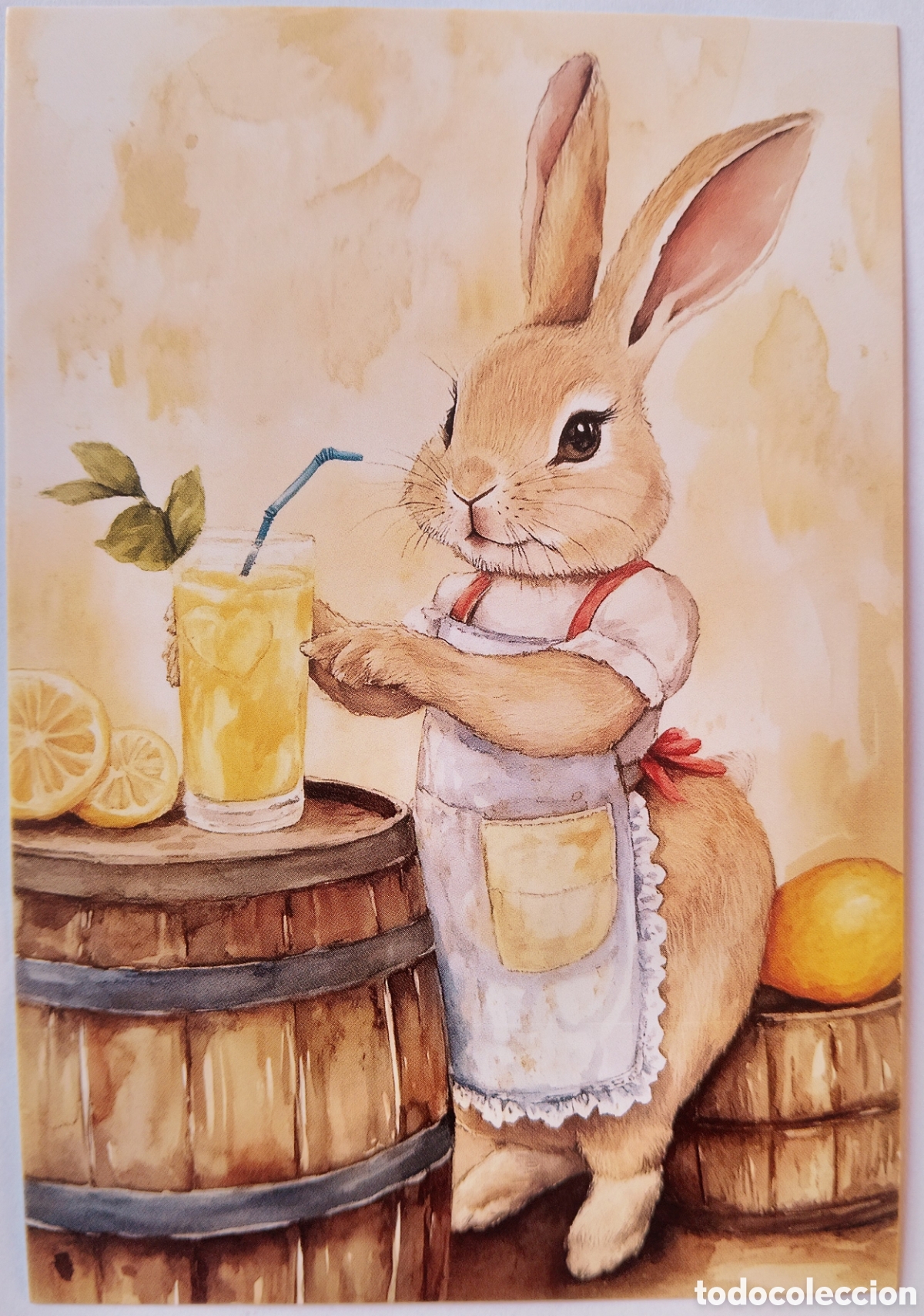 Postales: POSTAL - CONEJITA LIMONADA