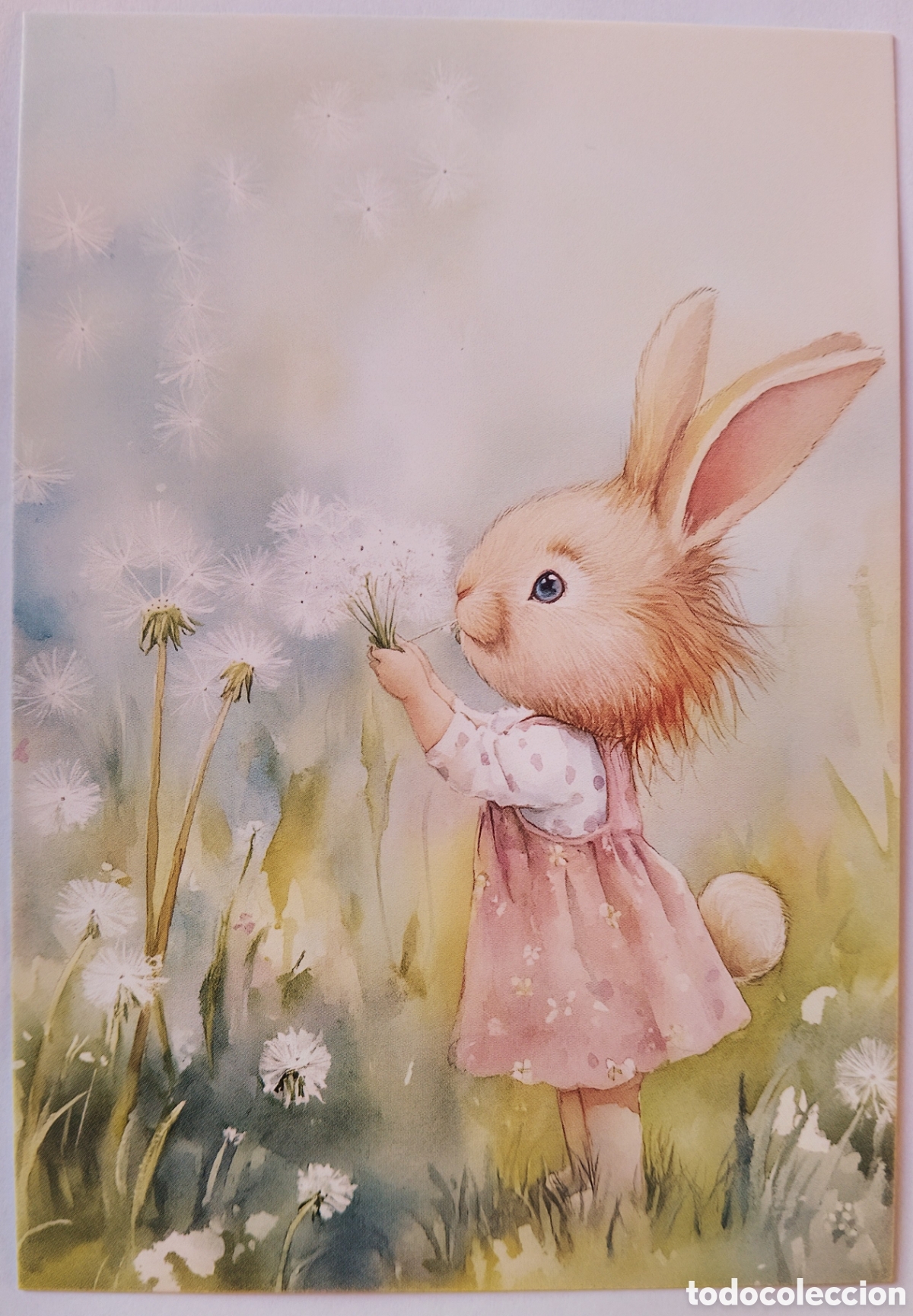 Postales: POSTAL - CONEJITA CAMPO DIENTES DE LE&Oacute;N