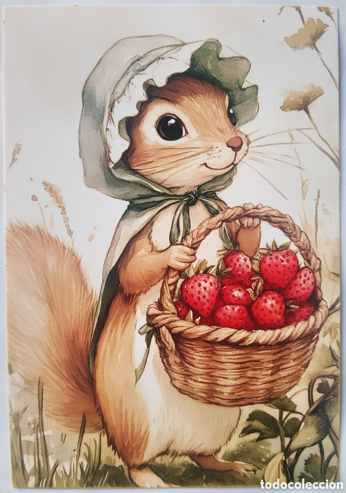 Postales: POSTAL - ARDILLA FRESAS