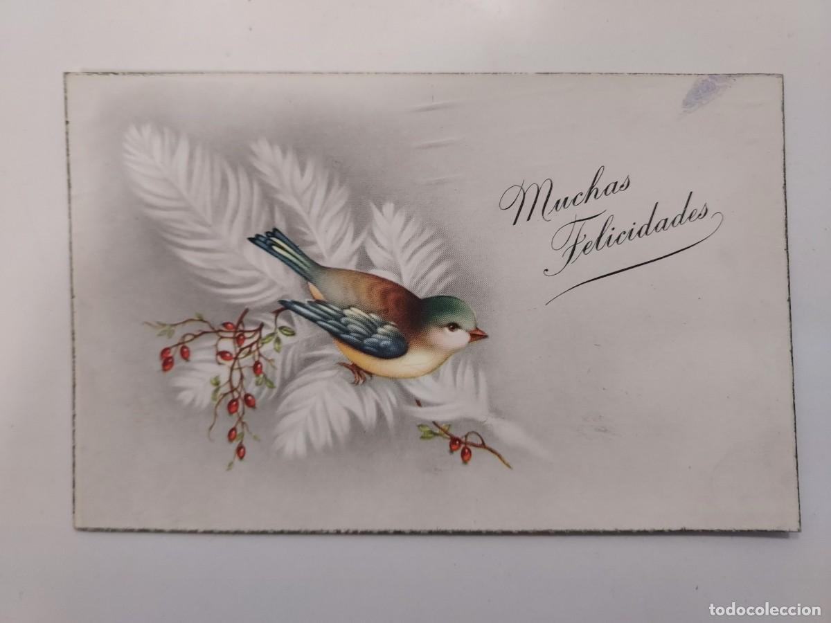 Postales: POSTAL ILUSTRADA. PAJARO, MUCHAS FELICIDADES. CYZ. A&Ntilde;OS 1940 1950. ESCRITA