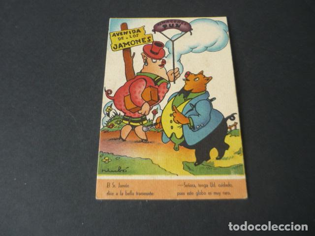 Postais: POSTAL CERDOS NIUBO ILUSTRADOR