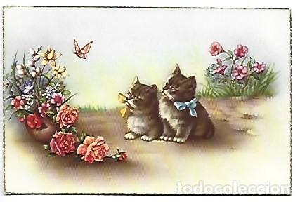 Postales: FELICITACION / GREETING CARD. (GATOS MIRANDO LA MARIPOSA)