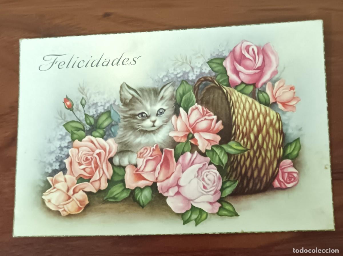 Postales: POSTAL FELICITACI&Oacute;N CON MOTIVO FLORAL Y GATO CYZ N&ordm; 566 ESCRITA 13,5X9 CM.