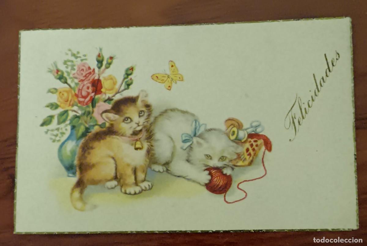 Postales: TARJETA FELICITACI&Oacute;N CON GATOS 10X6,5 CM. ESCRITA