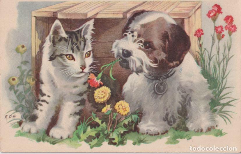 Postales: ILUSTRADOR: EDE, AMIGOS &ndash; ED.AMAG 2029 &ndash; ESCRITA 1956