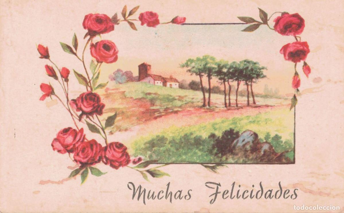 Postales: TARJETA POSTAL - MUCHAS FELICIDADES - CMB - SERIE N&ordm; 565 - ESCRITA - DESTINO CARTAGENA - A&Ntilde;O 1952