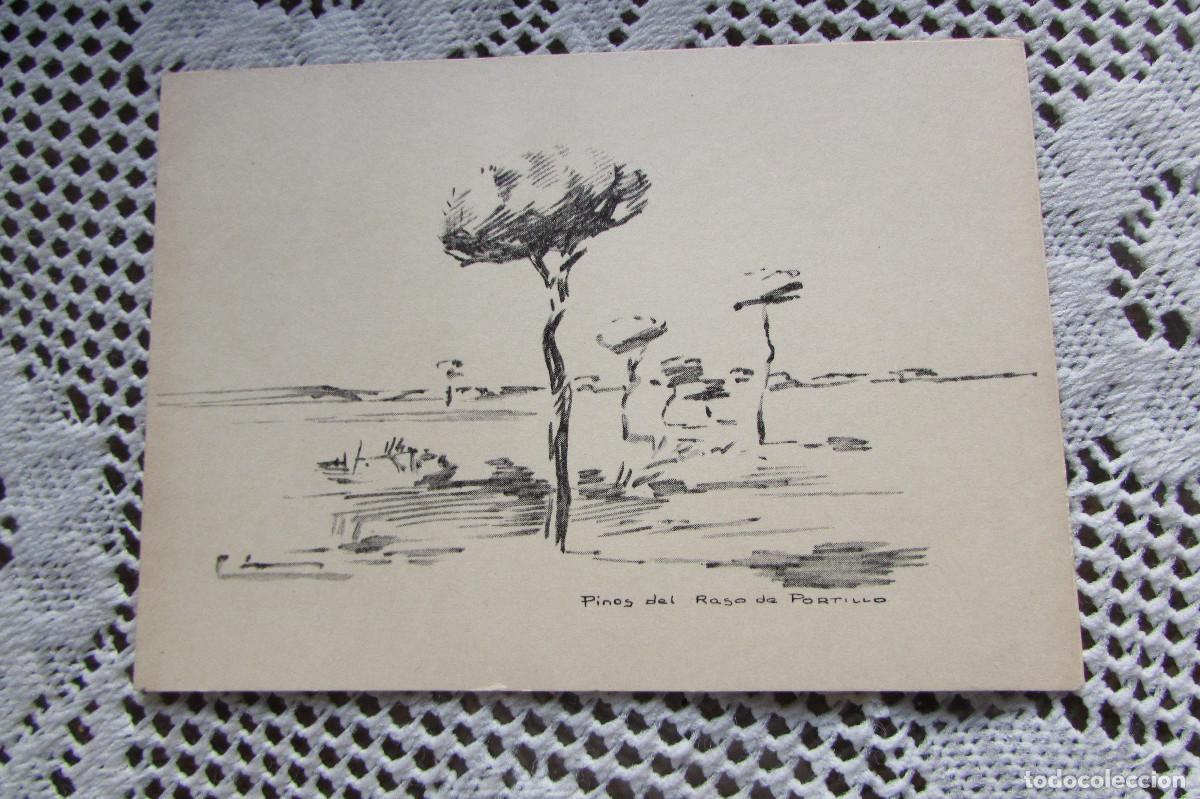 Postales: TARJETA POSTA ESCRITA 1960 PINOS DEL RASO DEL PORTILLO