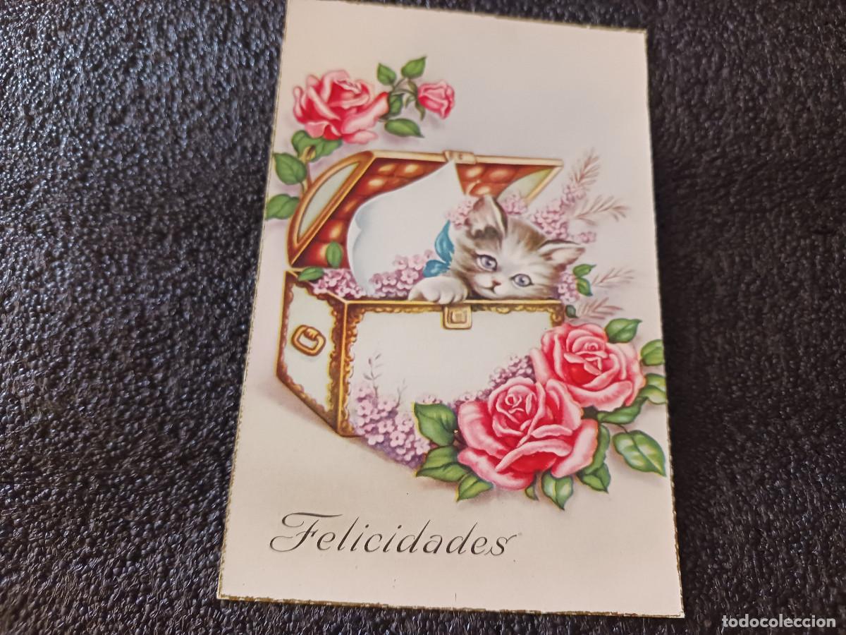 Postales: felicidades, gatito y rosas cyz 566, escrita