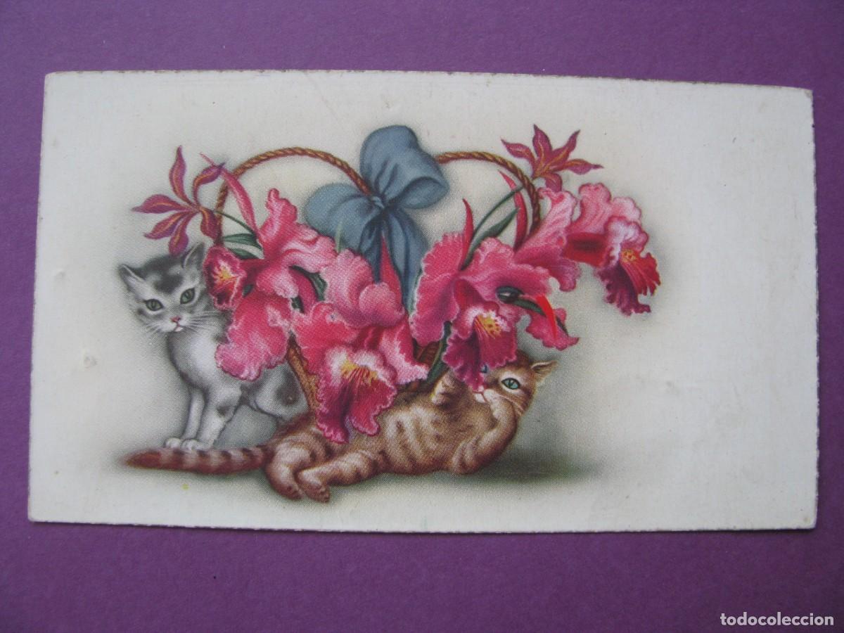 Postales: PEQUE&Ntilde;A TARJETA POSTAL DE IL. C. Y Z. 504/A. ESCRITA 11X6 CM