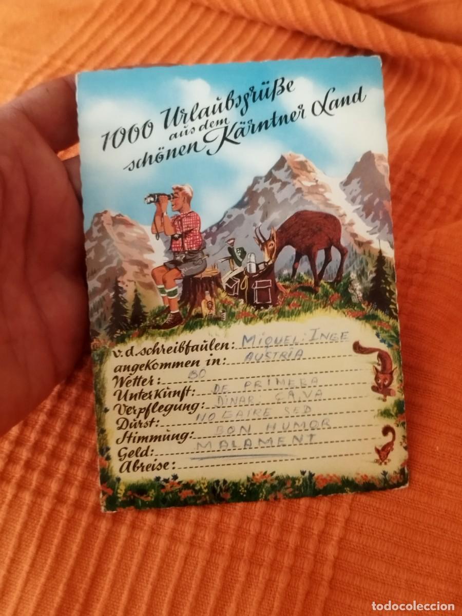 Postales: Tarjeta postal HUMOR SALZBURG ZORRO ARDILLA PANTALONES DE CUERO PRISM&Aacute;TICOS EDELWEISS.