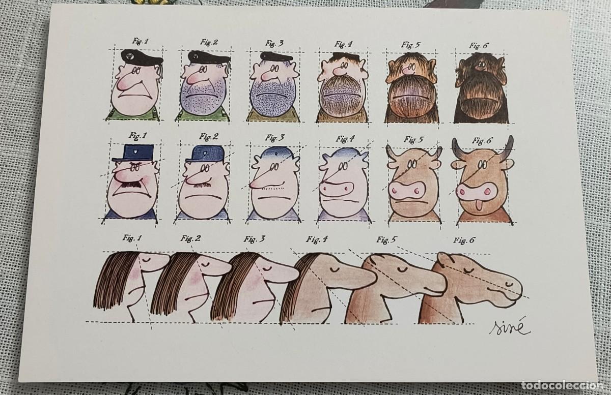 Postales: POSTAL | SIN&Eacute; - DARWIN