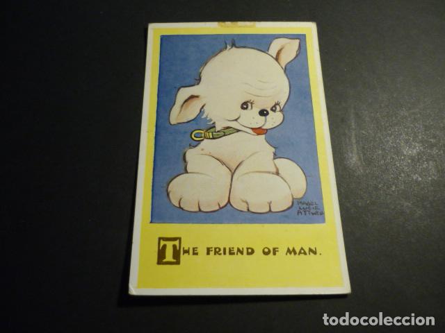 Postales: PERRO POSTAL COMICA ILUSTRADA - Foto 1