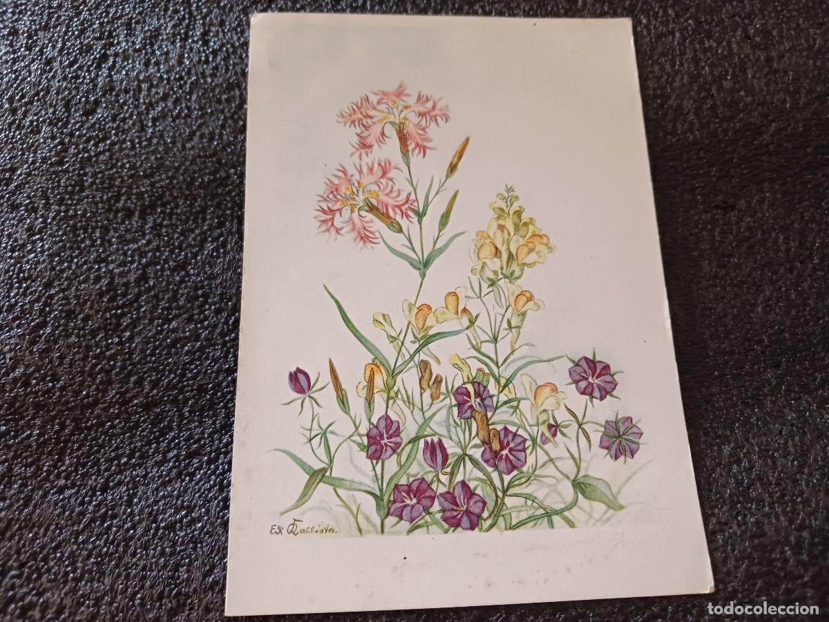 Postales: 10009 clavel y linaria, circulada, suria 1960