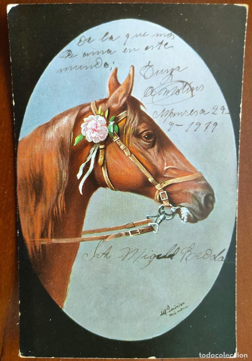 Postales: POSTAL DE UN CABALLO DIBUJADO FECHADA 1919