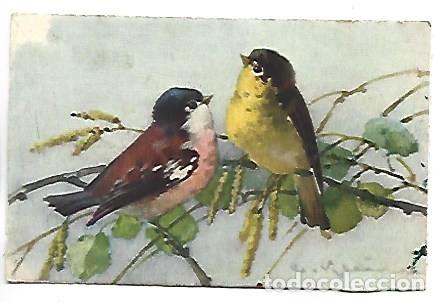 Postales: PINTURA CON PAREJA DE PAJAROS