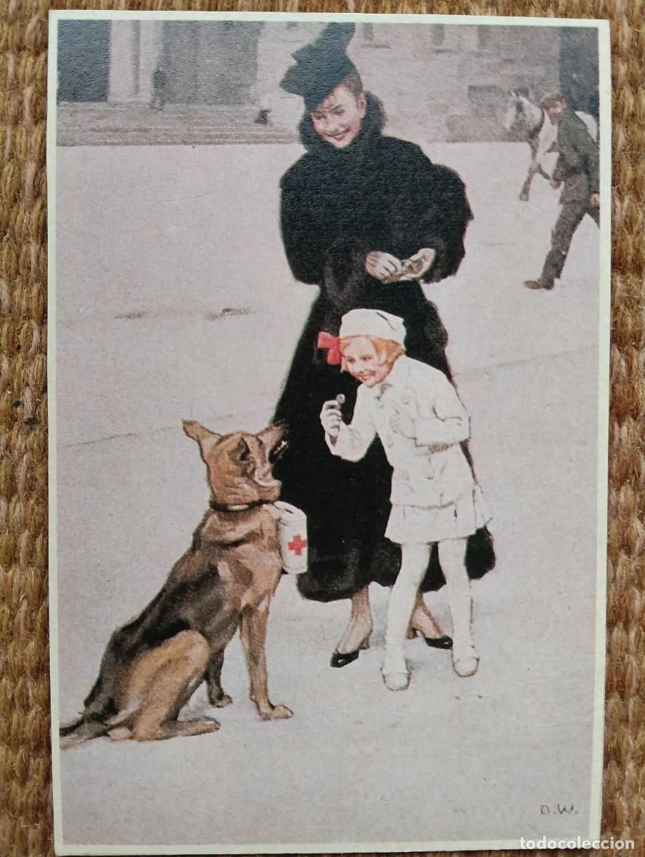 Postales: PERRO DE LA CRUZ ROJA - ED. HISTORIA GRAFICA DEL SIGLO XX