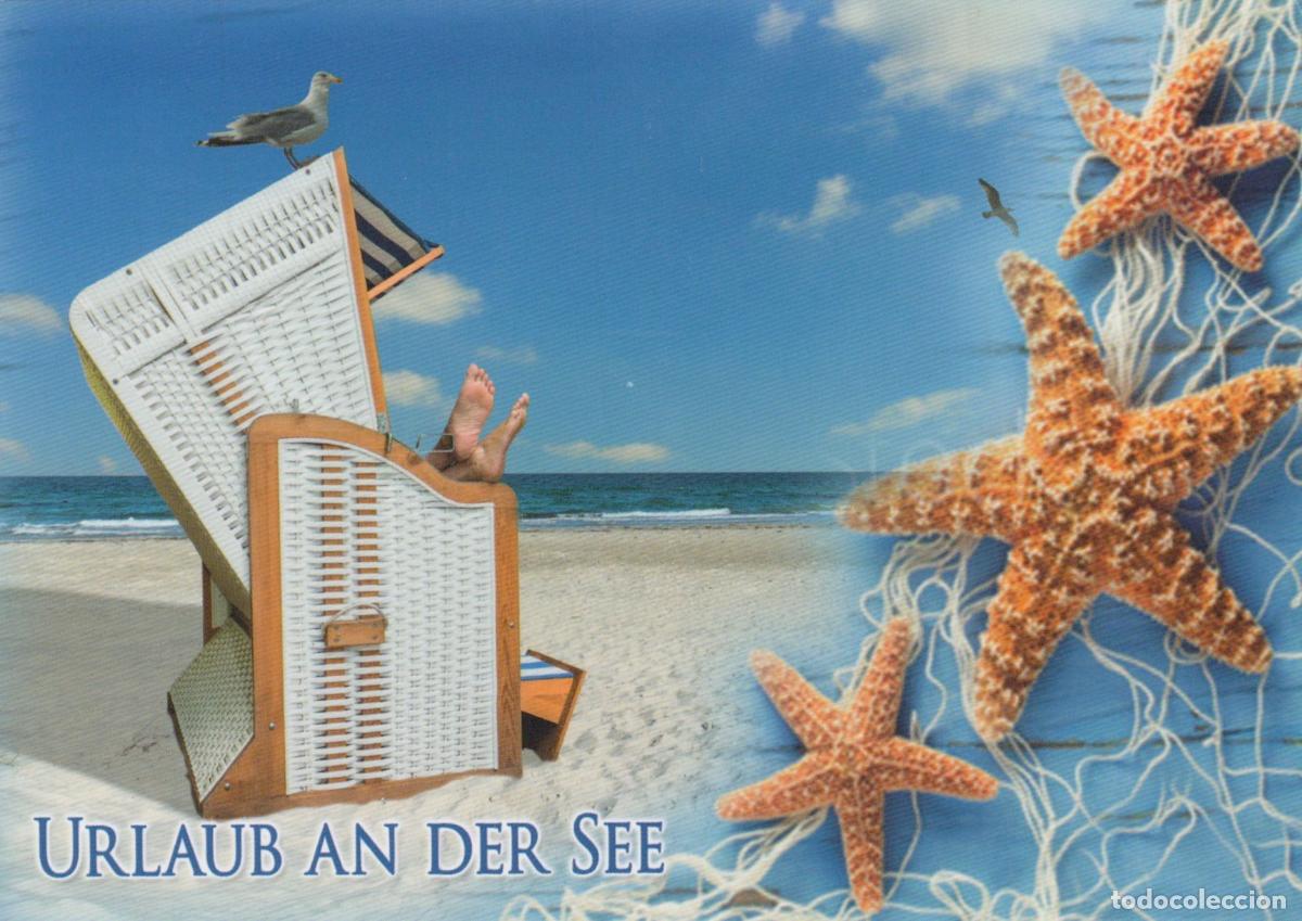 Postales: Vacation at the Seaside Beach Chair Starfish Seagull *YAY246