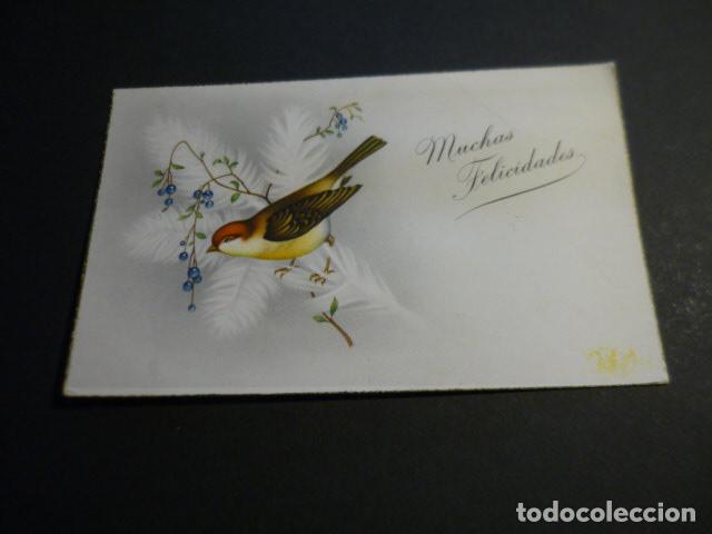 Postkarten: PAJARO EN RAMA POSTAL