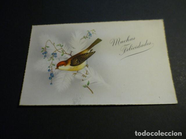 Postais: PAJARO EN RAMA POSTAL