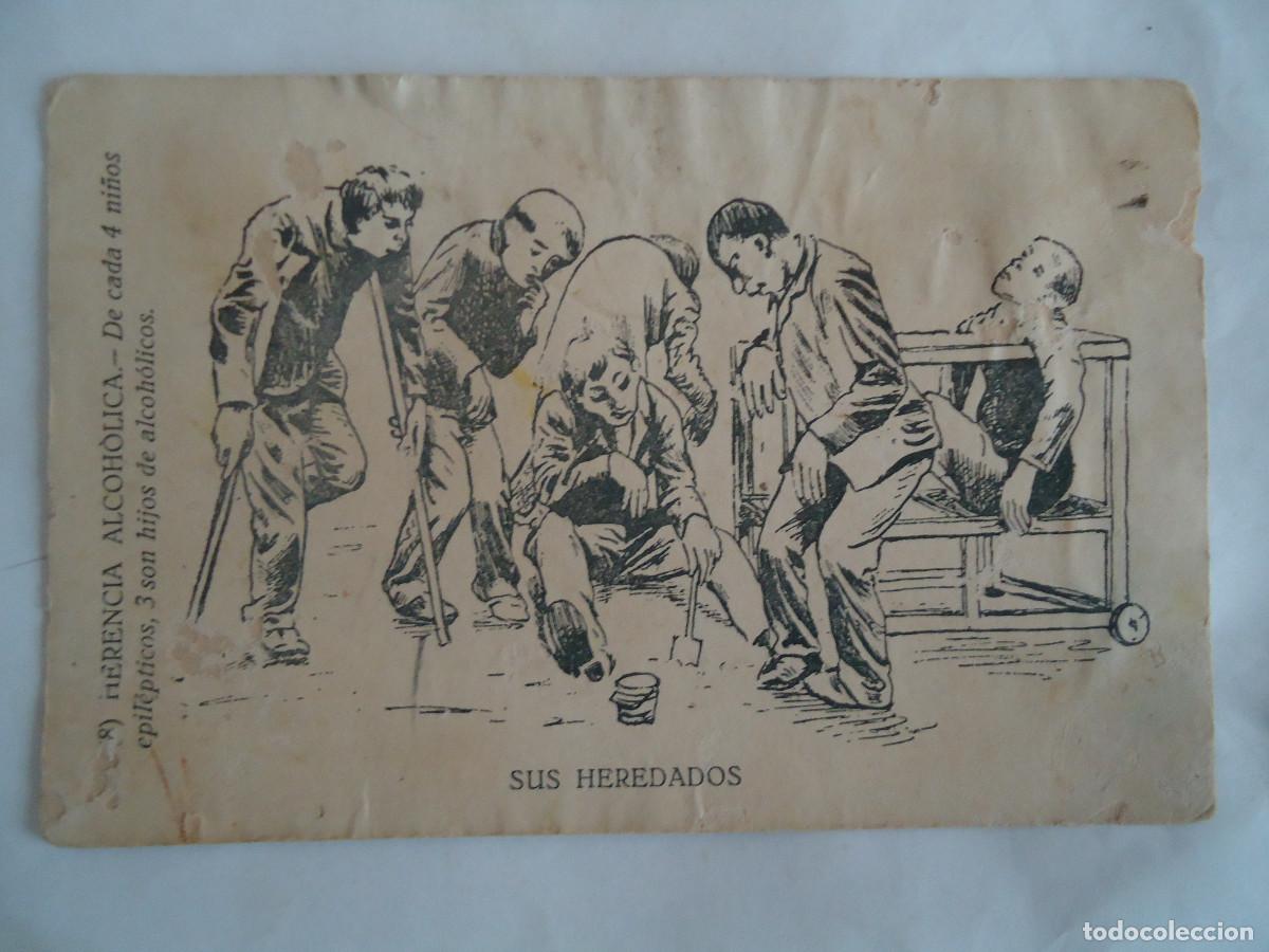 Postales: POSTAL DE CARICATURAS Y DIBUJOS DE HERENCIA ALCOHOLICA, SUS HEREDADOS. PP -13