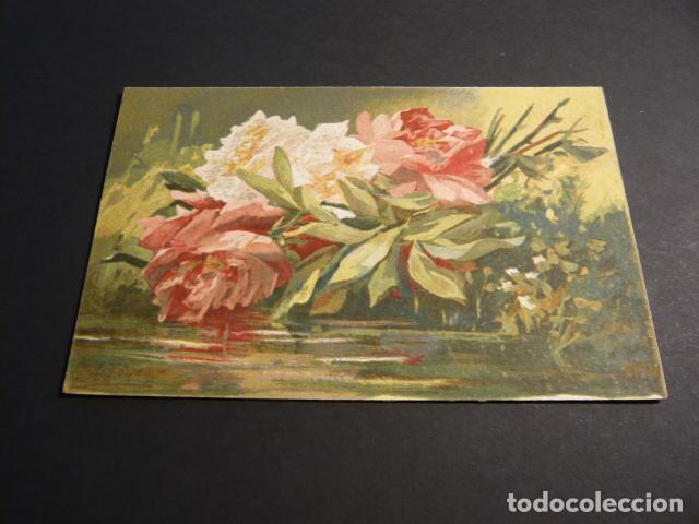 Postales: ROSAS POSTAL ILUSTRADA