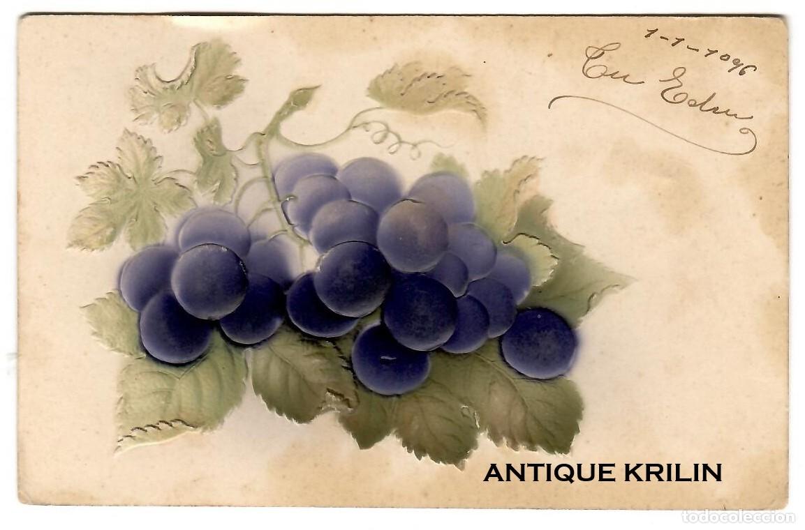 Postales: POSTAL RACIMO DE UVAS EN RELIEVE / SIN FRANQUEAR PERO ESCRITA 1906