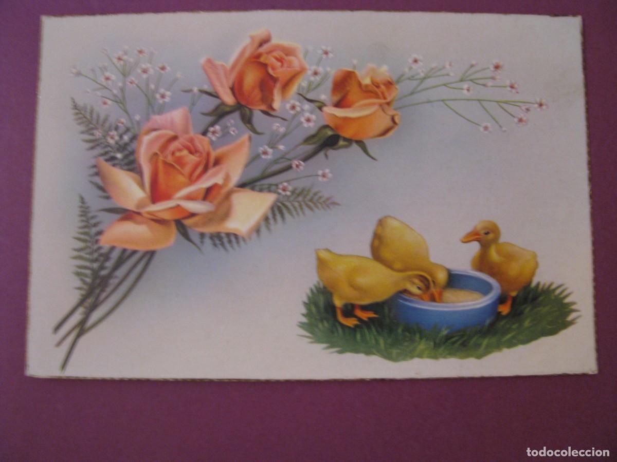 Postales: POSTAL DE IL? C. Y Z. 513/B