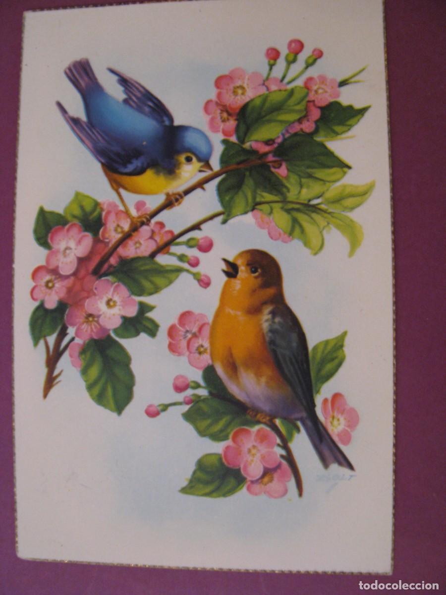 Postales: POSTAL DE IL. ZSOLT. ANCORA 2314/F. 1959
