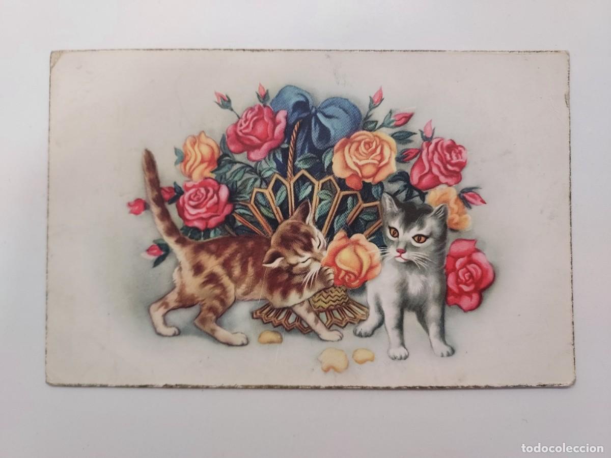 Postales: POSTAL ILUSTRADA GATITOS GATOS. ESCRITA 1954. CYZ