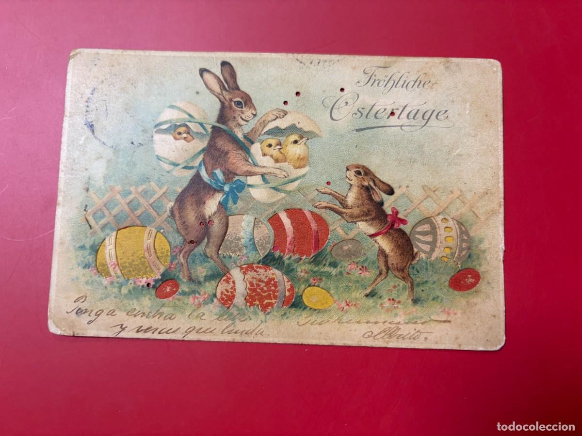 Postales: POSTAL FELICITACI&Oacute;N DE PASCUA - CONEJOS Y POLLITOS - CIRCULADA A CUBA 1904