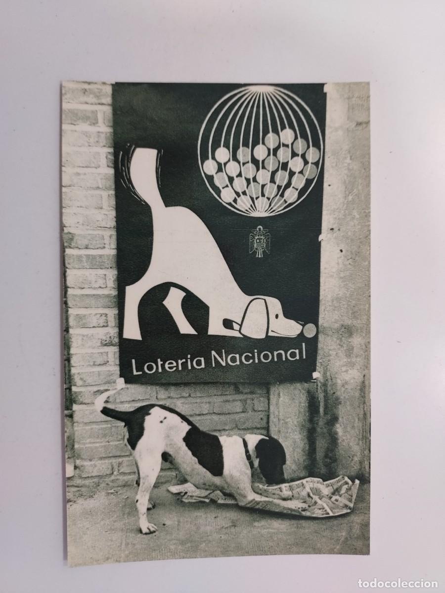 Postales: POSTAL LOTERIA NACIONAL CONCURSO FOTOGRAFIA 1964 OLFATEANDO LA SUERTE (PERRO), ZARCO. S/C