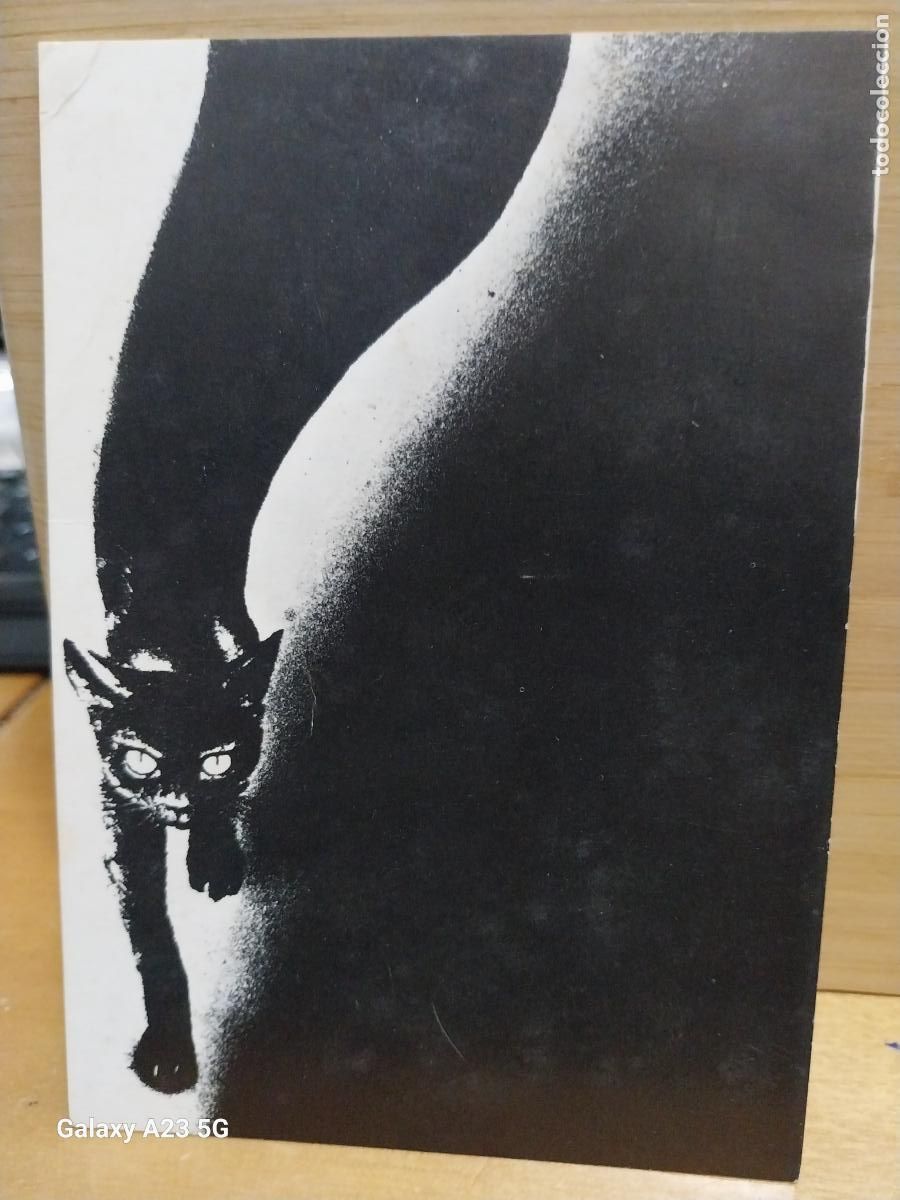 Postales: GATO ILUSTRACION ED BREYMI FOTO JOAN FOTCUBERTA SC ORIGINAL A&Ntilde;O 1978