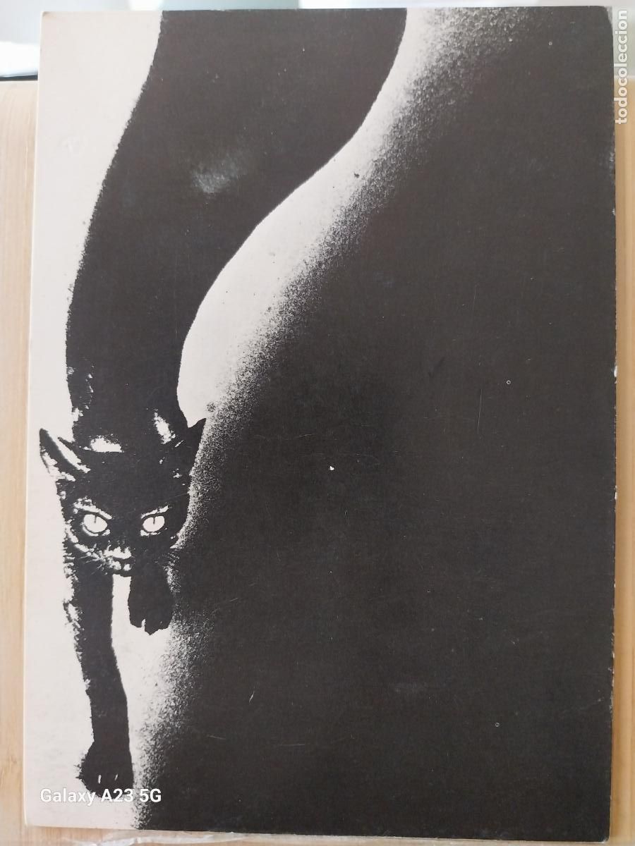 Postales: GATO ILUSTRACION ED BREYMI A&Ntilde;O 1978 ESCRITA ORIGINAL