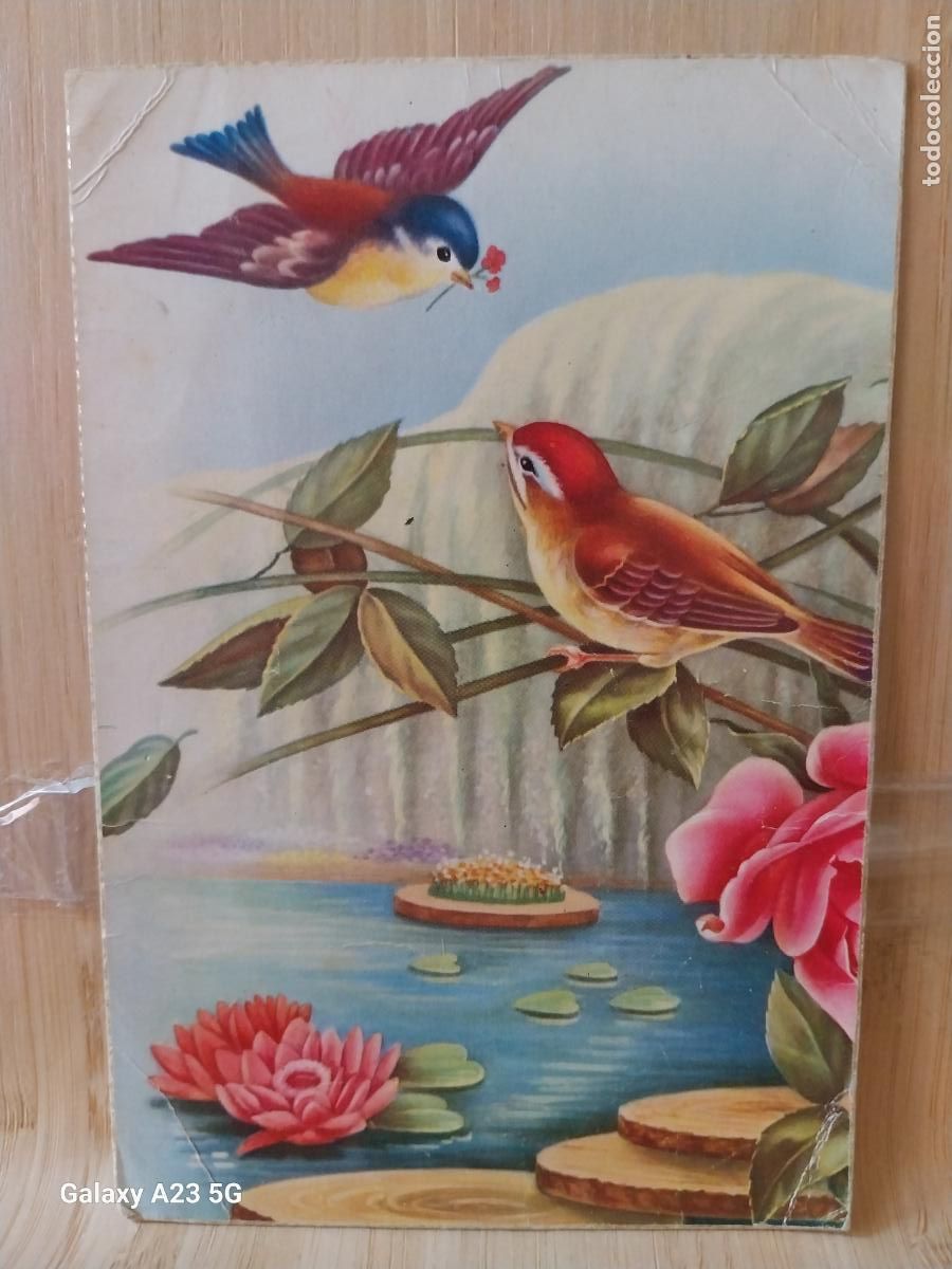 Postales: PAJAROS ED CYZ 596 B ESCRITA ILUSTRACION