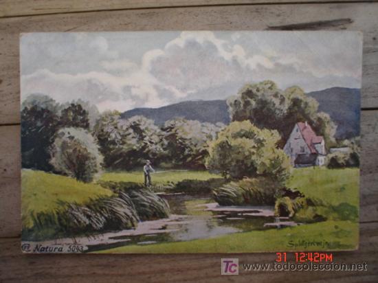 Postales: NATURALEZA - Foto 1