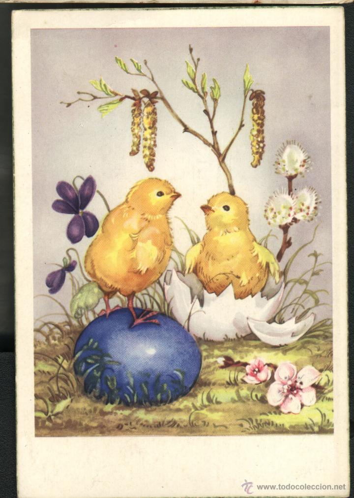 Postales: 2 POLLITOS - Foto 1