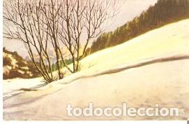 Postales: Postal Pintura. ref. 74-26 - Foto 1