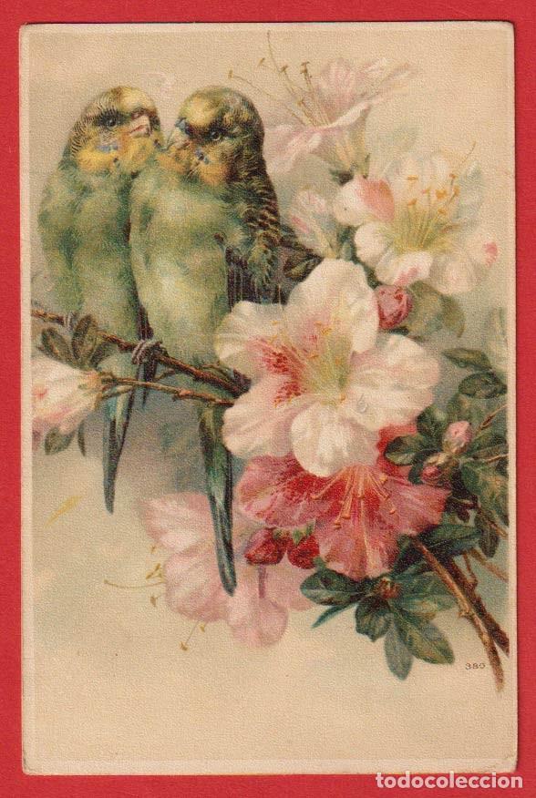 ae704 pajaro aves periquitos verdes y flores de - Buy Old Postcards of  Original Drawings and Engravings at todocoleccion - 202009138