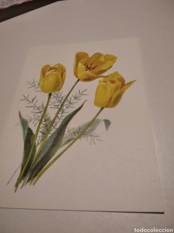 Postales: Postal flores - Foto 1