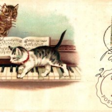Postales: ILUSTRADA. ILLUSTRATEUR. GATOS. CHAT. CAT. PIANO