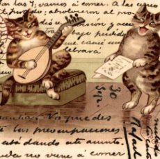 Postales: ILUSTRADA. ILLUSTRATEUR. GATOS. CHAT. CAT. ANTROPOMORPHIC. ANTROPOMORFICO. MUSICO. MUSICIAN
