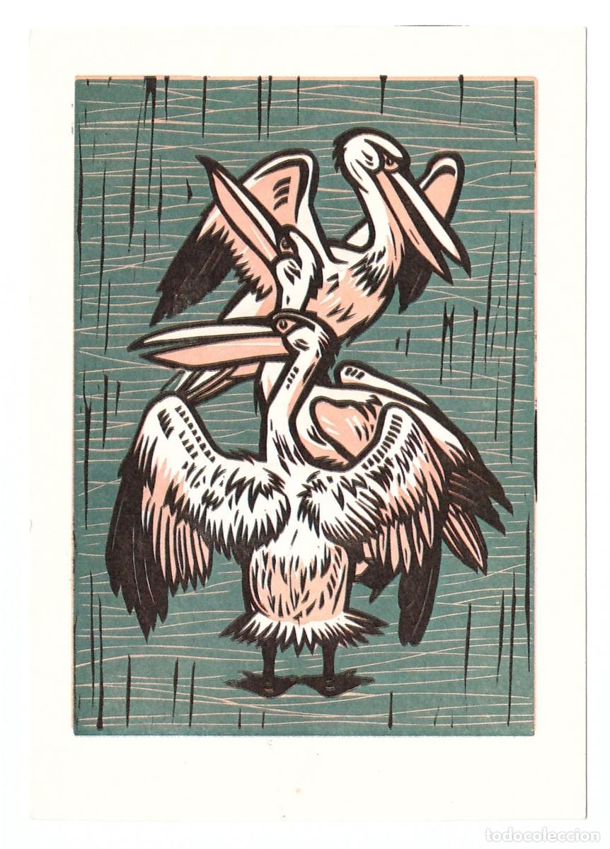 Postales: WALTER EBKE: PELIKANE. - Foto 1