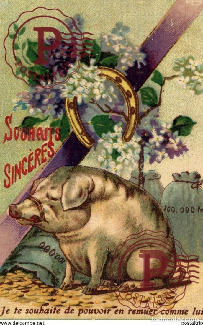 Postais: Illustrateur Illustrator ED PORC COCHON