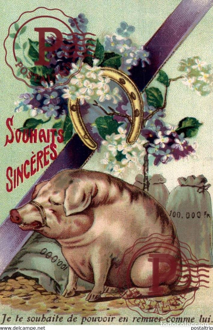 Postais: Illustrateur Illustrator PORC COCHON