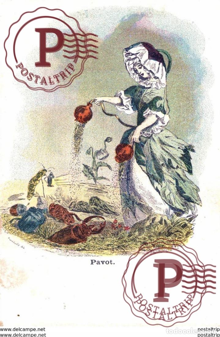 Cartoline: FEMME PAVOT. ILUSTRADORES ILLUSTRATORS ILLUSTRATEURS