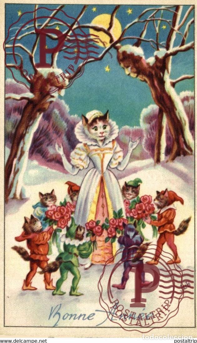 Postales: CHAT HUMANISE - CHATS - CAT - KAT - KATZE - GATO - &eacute;dition JUB - M D