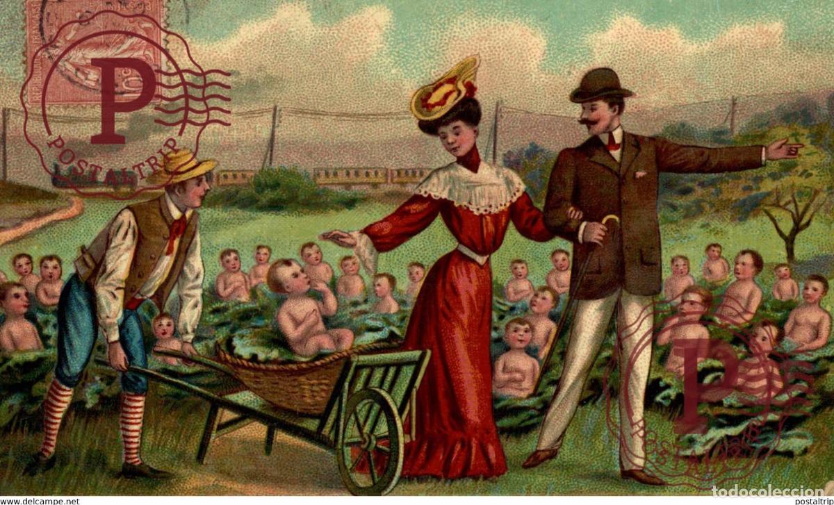 Postales: lot 4 cartes Illustrateur L&eacute;gumes - Choux - Naissance - B&eacute;b&eacute; - Enfant