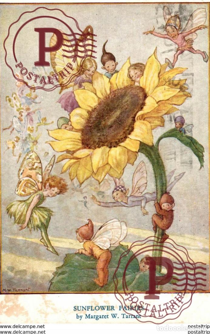 Postkarten: SUNFLOWER FAIRIES. MARGARET W. TARRANT