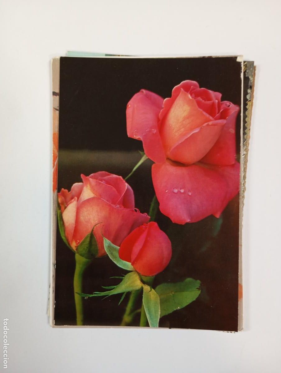 Postales: POSTAL FLORES. TDKP28Z4
