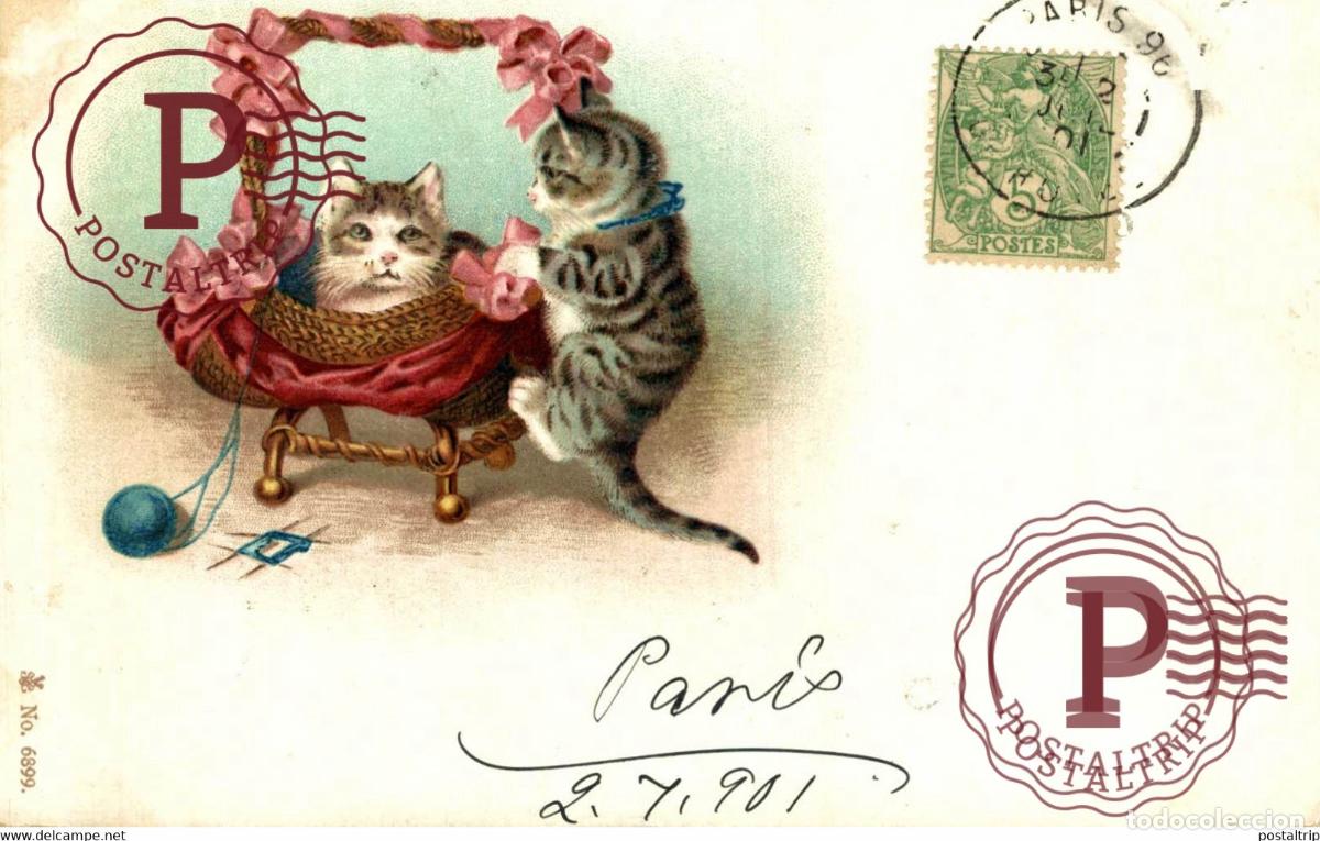 Postales: ILUSTRADA. ILLUSTRATEUR. GATOS. CHAT. CAT.